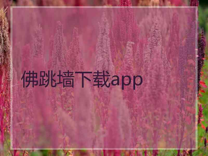 佛跳墙下载app