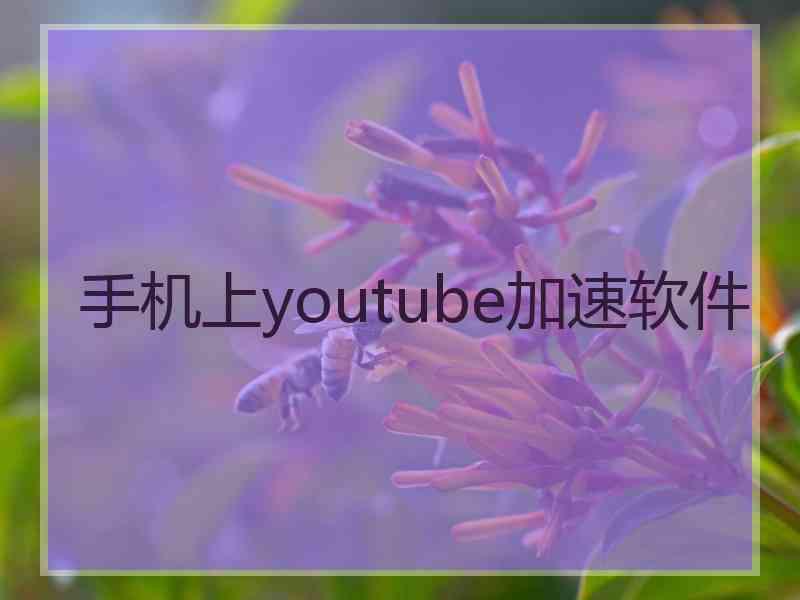 手机上youtube加速软件