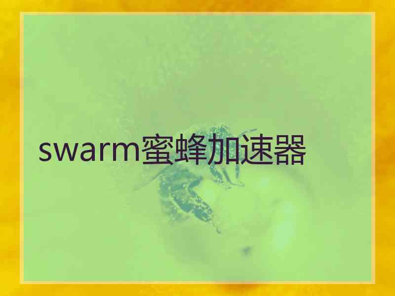 swarm蜜蜂加速器