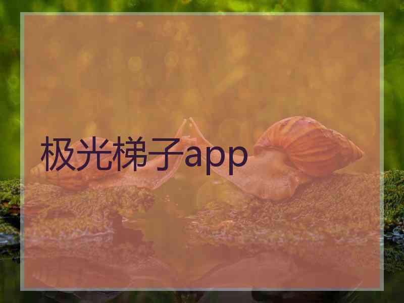 极光梯子app