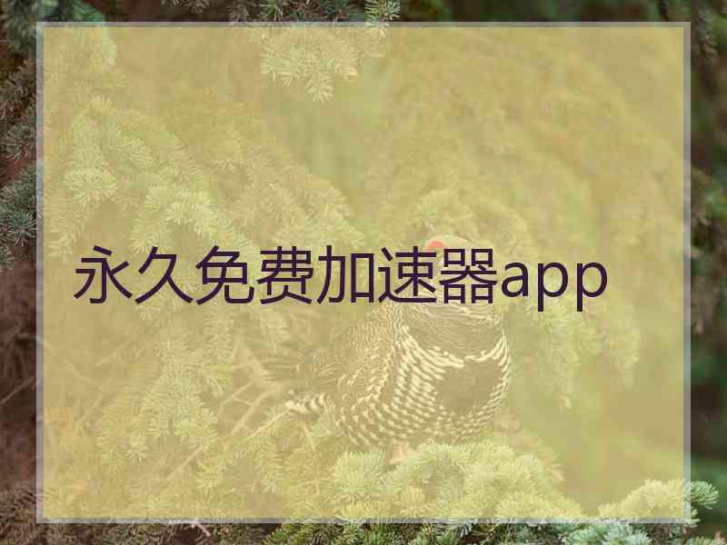 永久免费加速器app