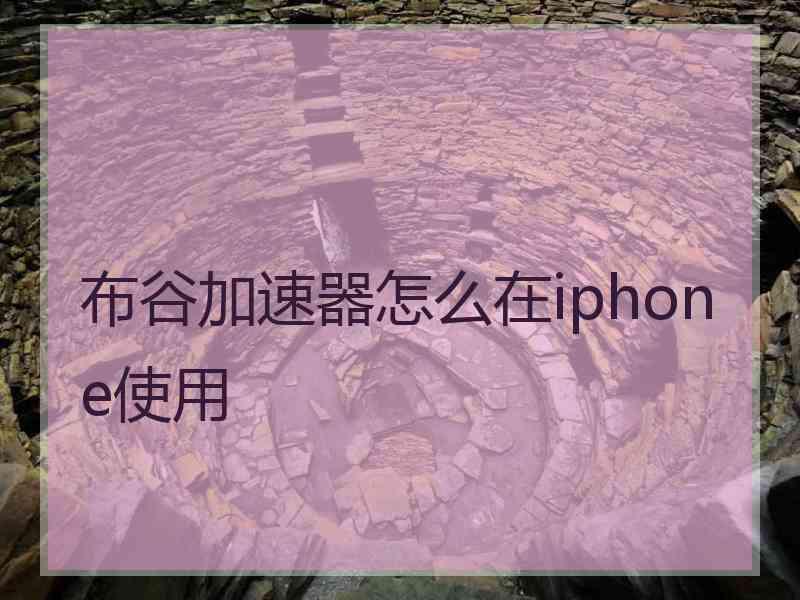 布谷加速器怎么在iphone使用