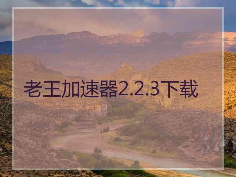 老王加速器2.2.3下载