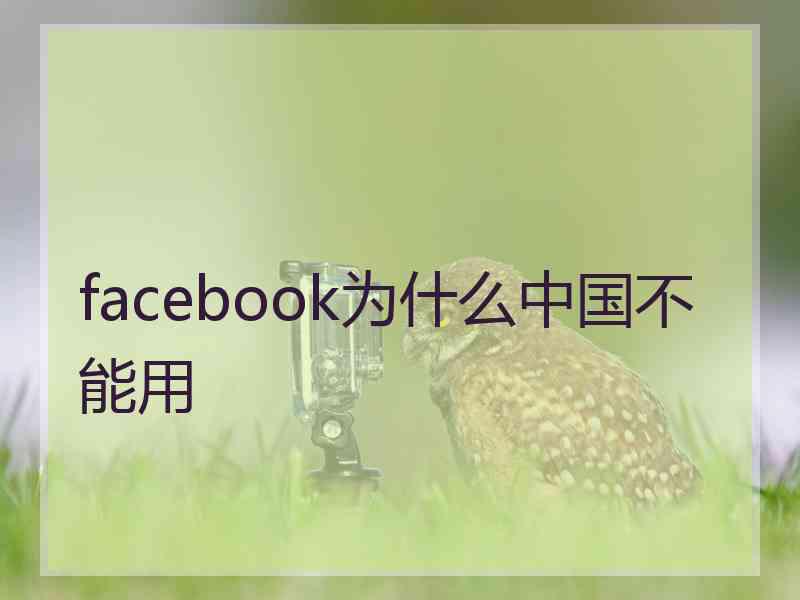 facebook为什么中国不能用