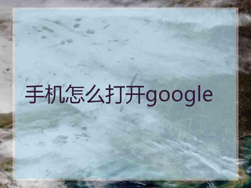 手机怎么打开google