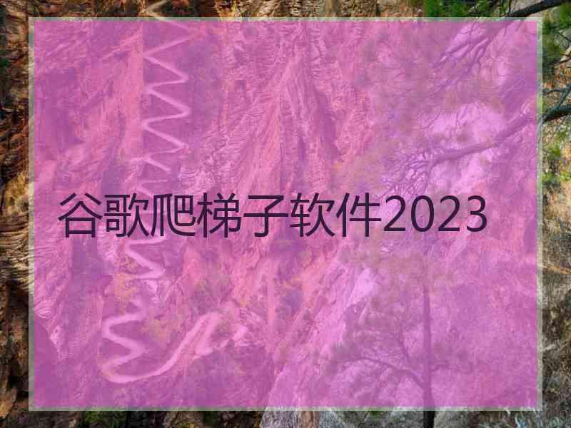 谷歌爬梯子软件2023