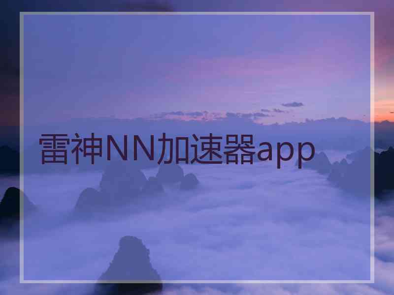 雷神NN加速器app