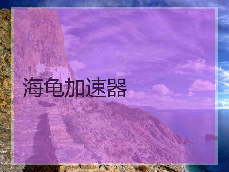 海龟加速器