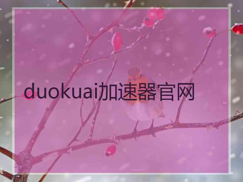 duokuai加速器官网