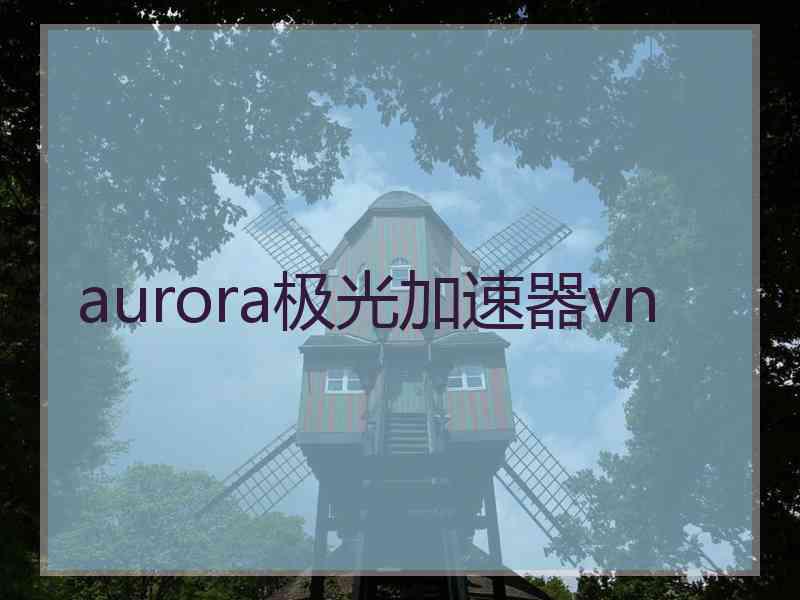 aurora极光加速器vn