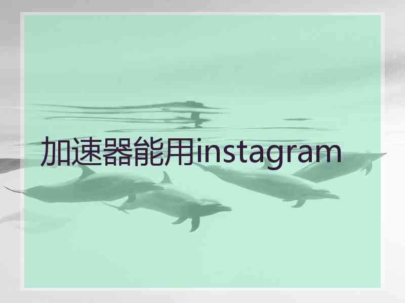 加速器能用instagram