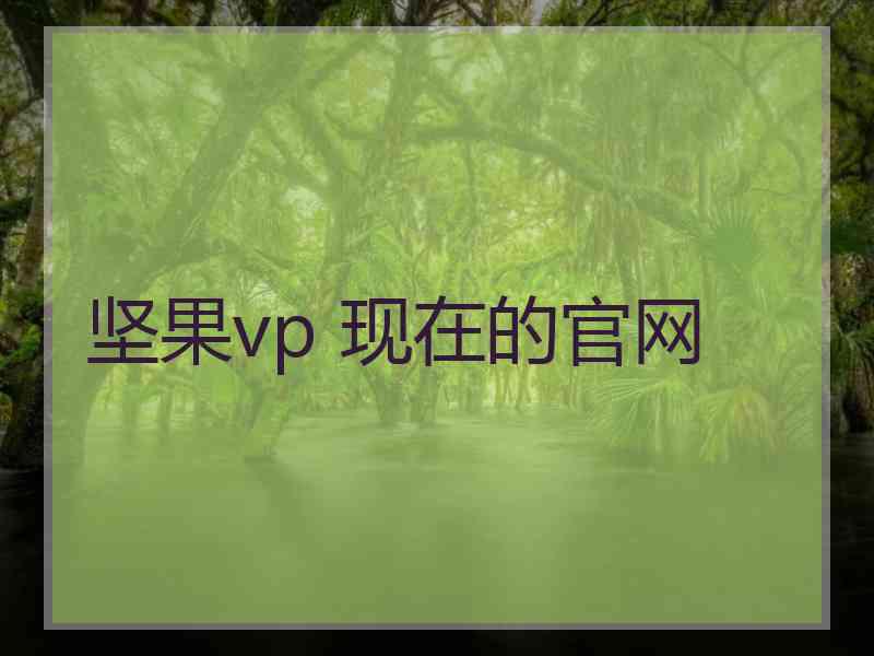 坚果vp 现在的官网