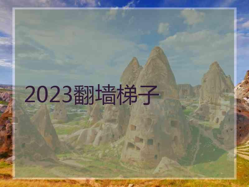 2023翻墙梯子