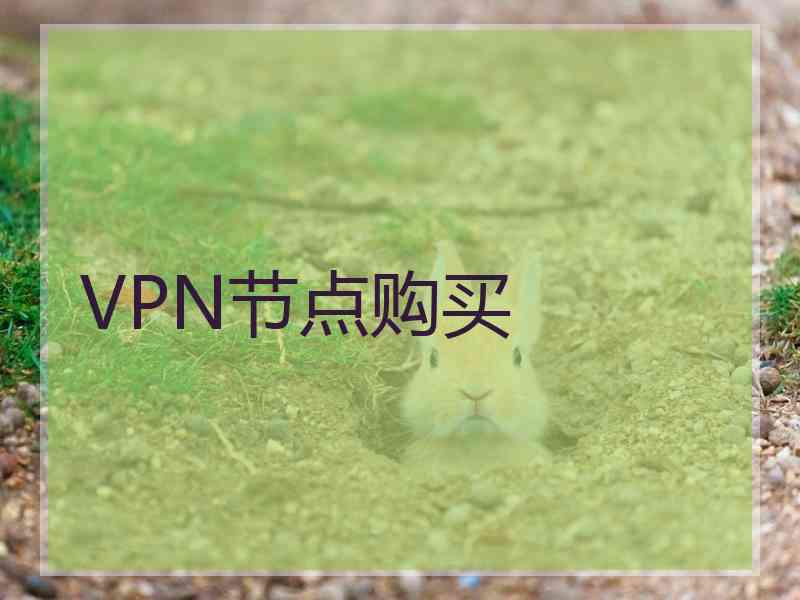 VPN节点购买