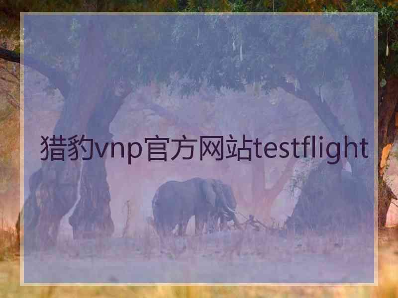 猎豹vnp官方网站testflight