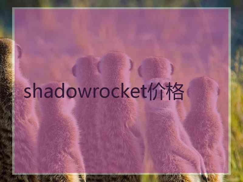 shadowrocket价格