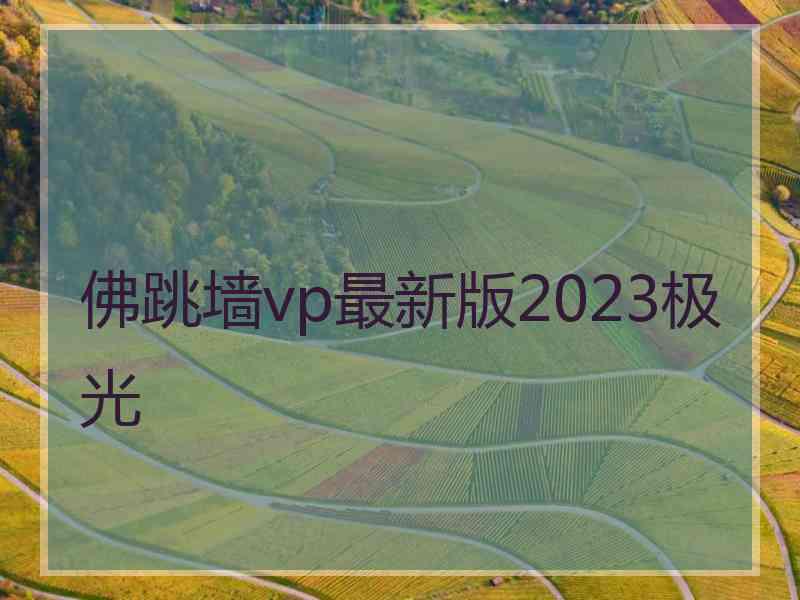 佛跳墙vp最新版2023极光