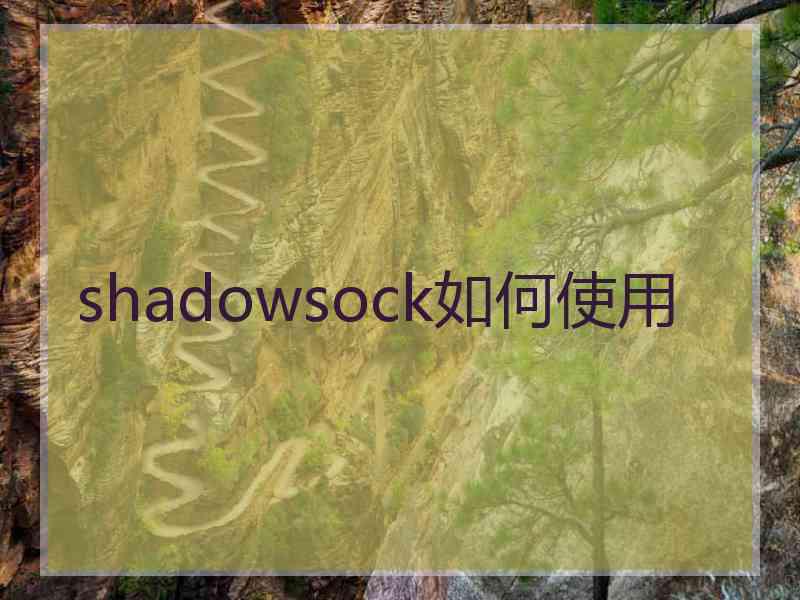 shadowsock如何使用