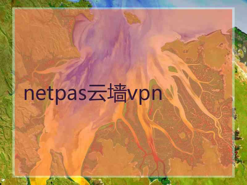 netpas云墙vpn