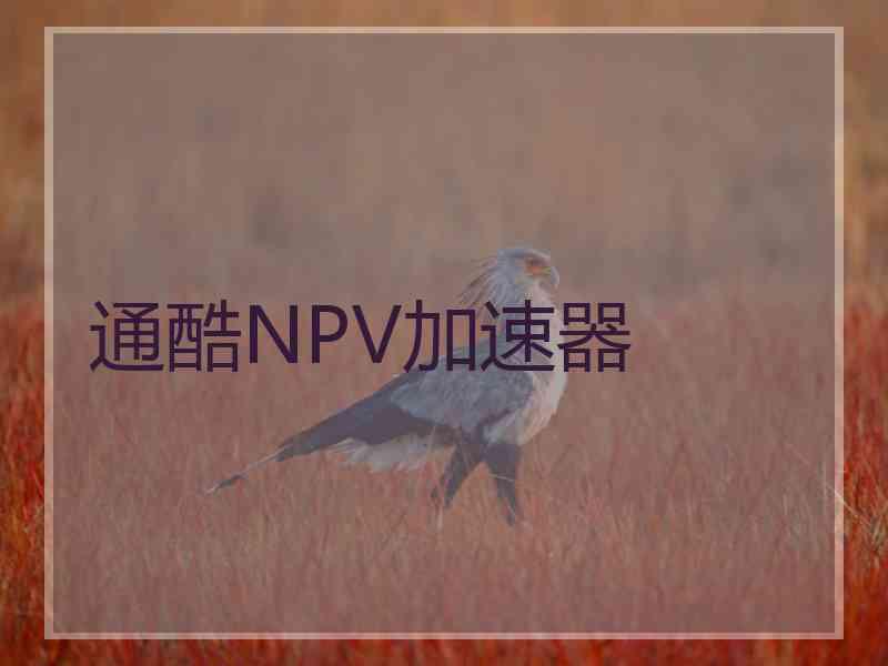 通酷NPV加速器