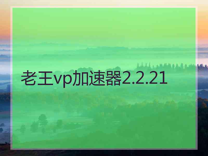 老王vp加速器2.2.21