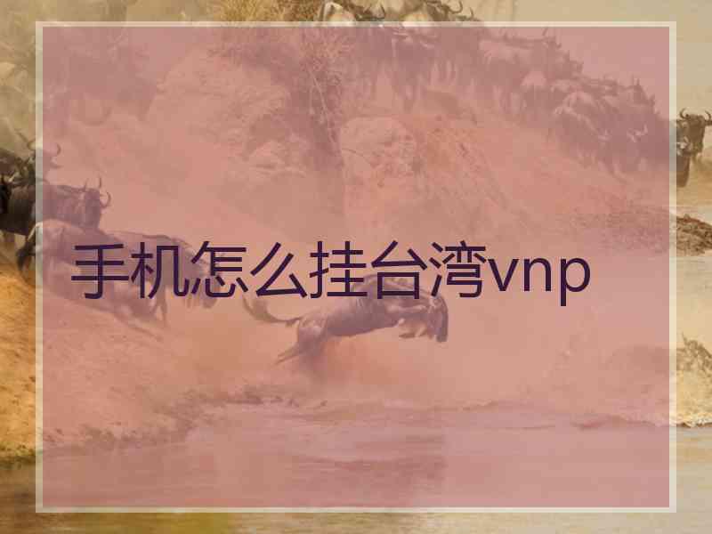 手机怎么挂台湾vnp