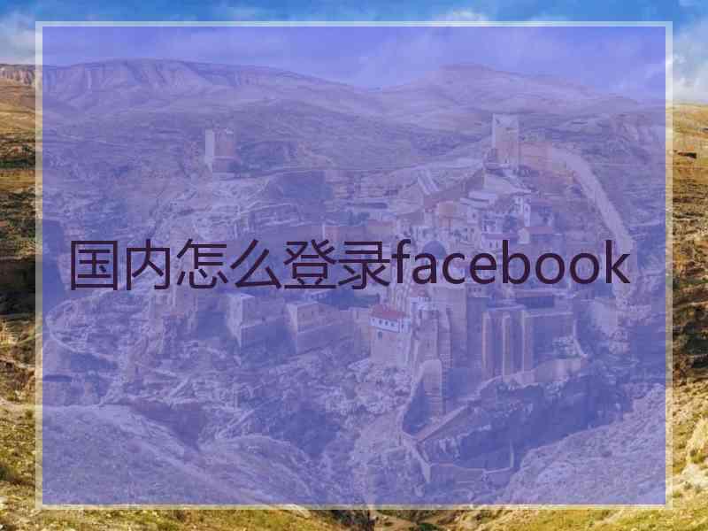 国内怎么登录facebook