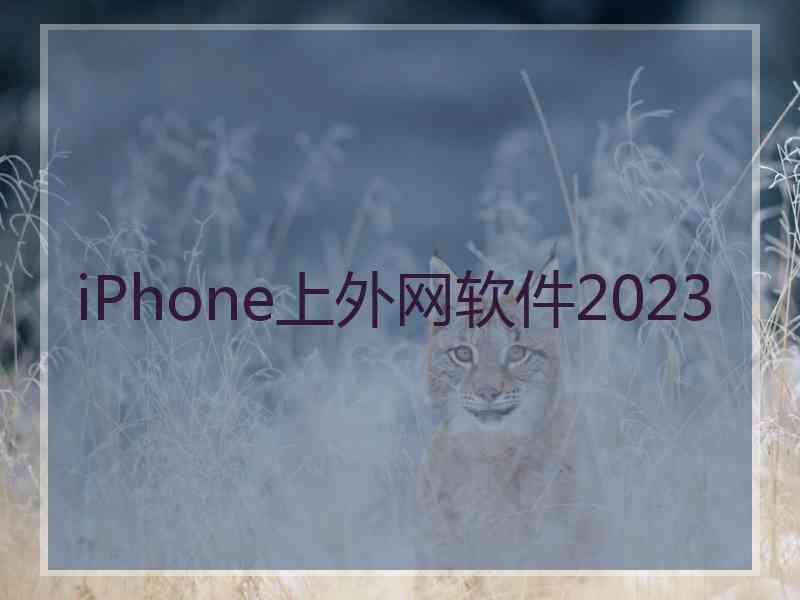 iPhone上外网软件2023