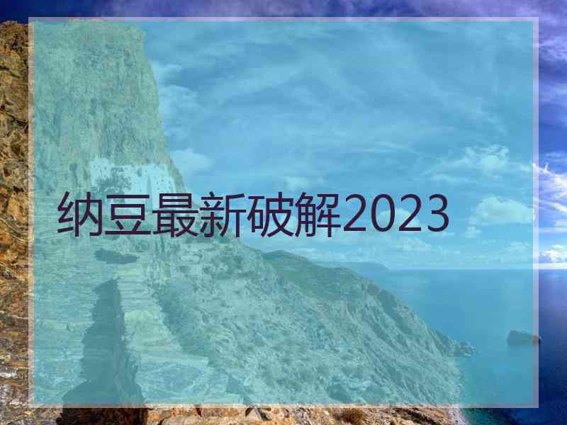 纳豆最新破解2023