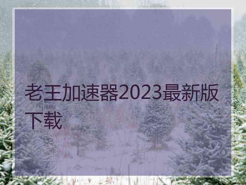 老王加速器2023最新版下载