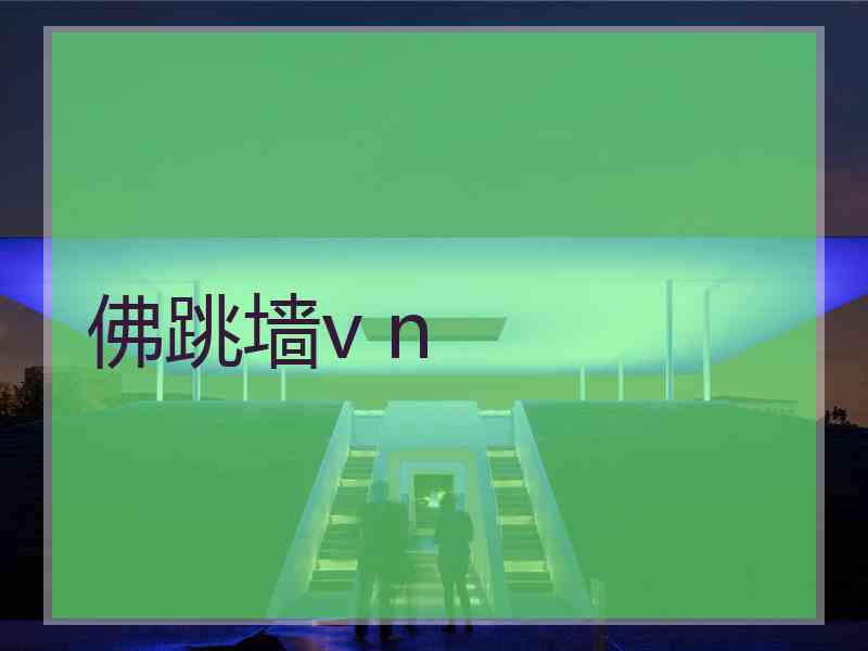 佛跳墙v n