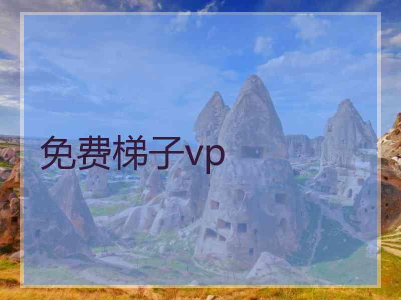 免费梯子vp