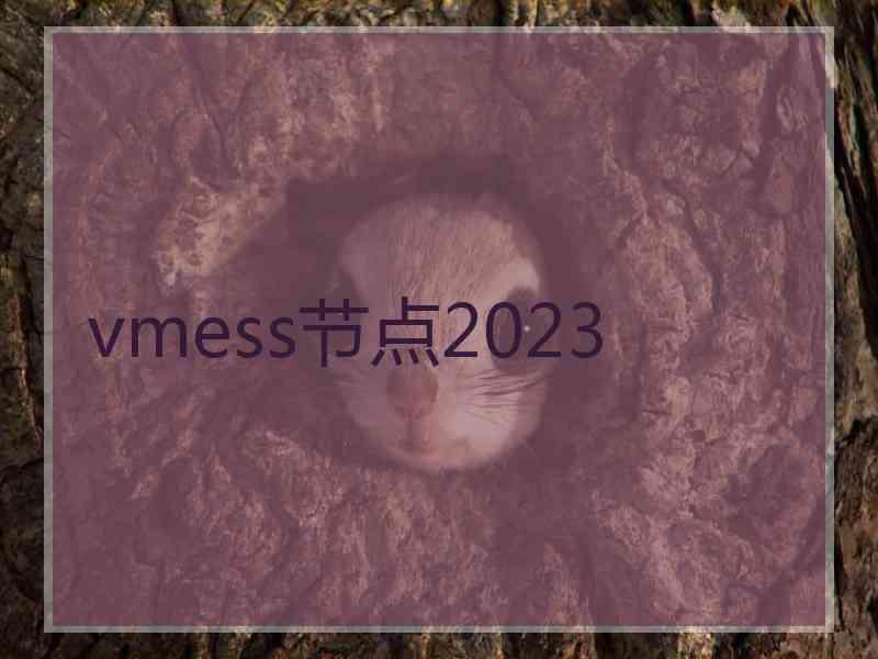 vmess节点2023