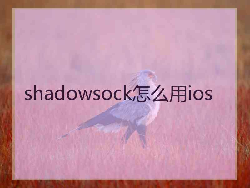 shadowsock怎么用ios