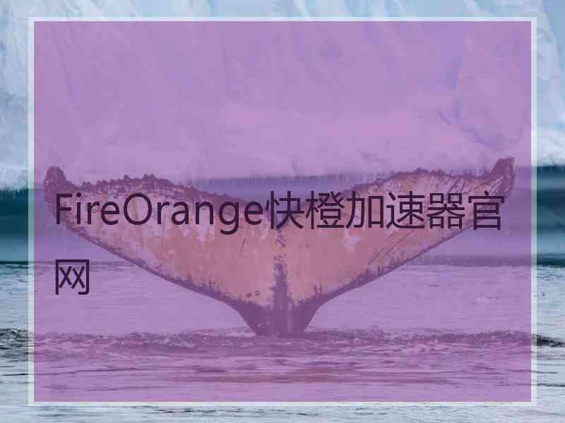 FireOrange快橙加速器官网