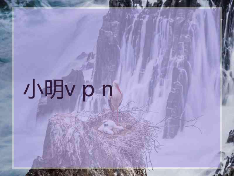 小明v p n