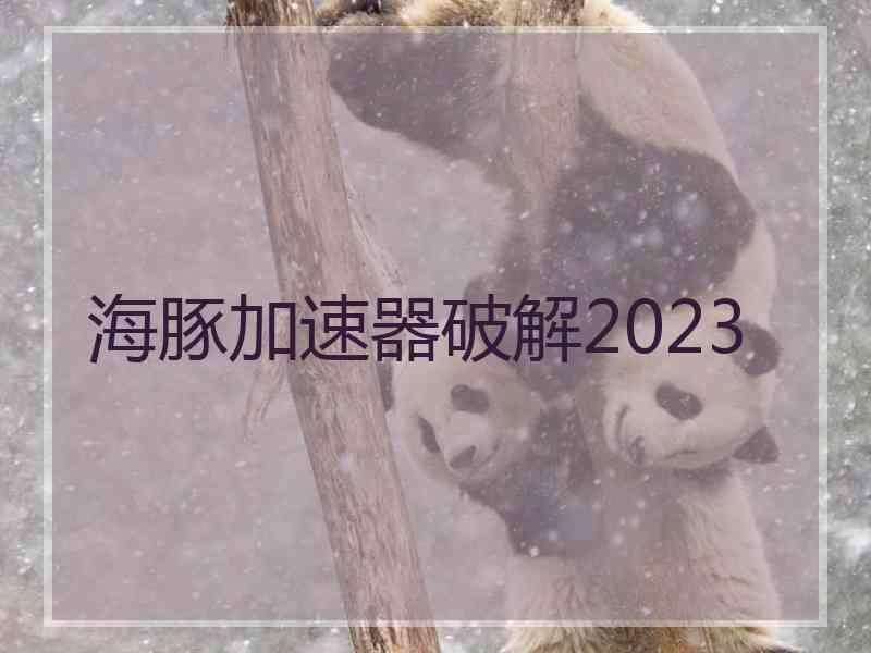 海豚加速器破解2023