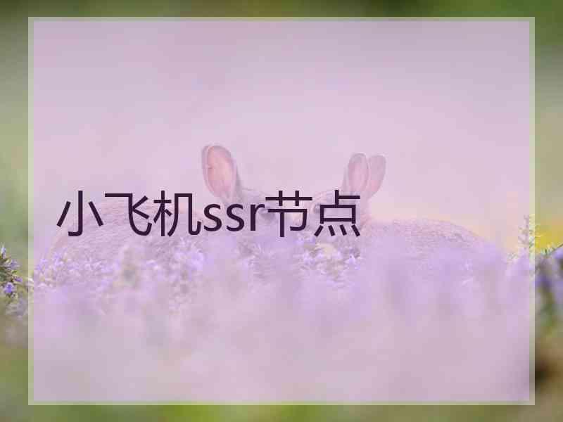 小飞机ssr节点