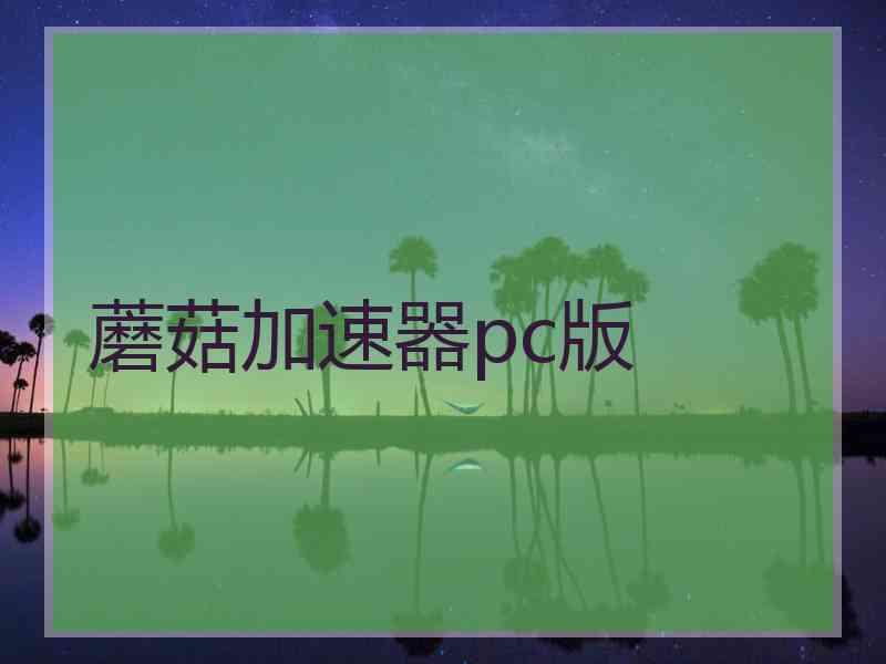 蘑菇加速器pc版