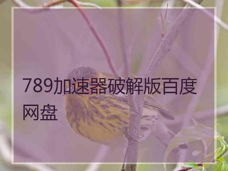 789加速器破解版百度网盘