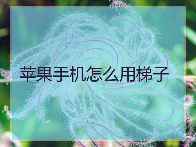 苹果手机怎么用梯子