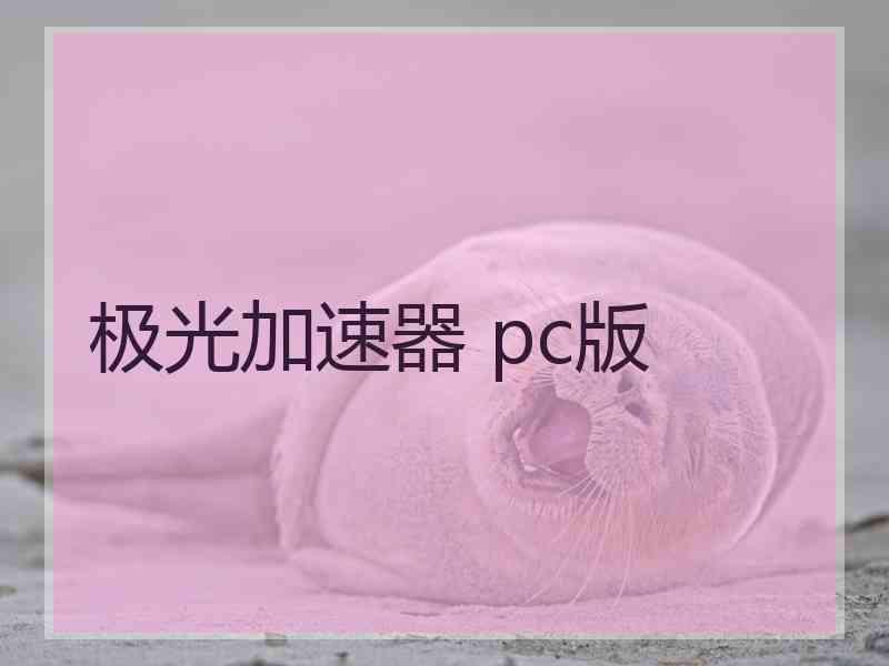 极光加速器 pc版