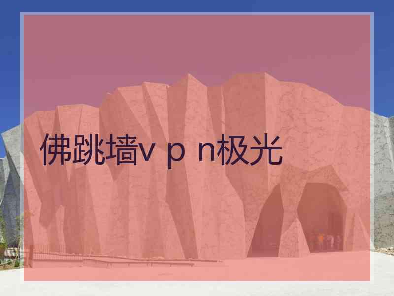 佛跳墙v p n极光