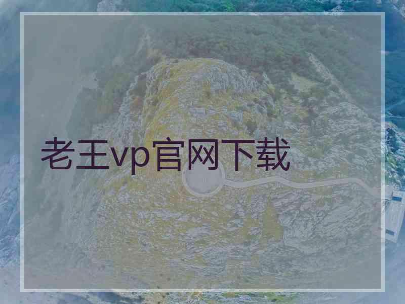 老王vp官网下载