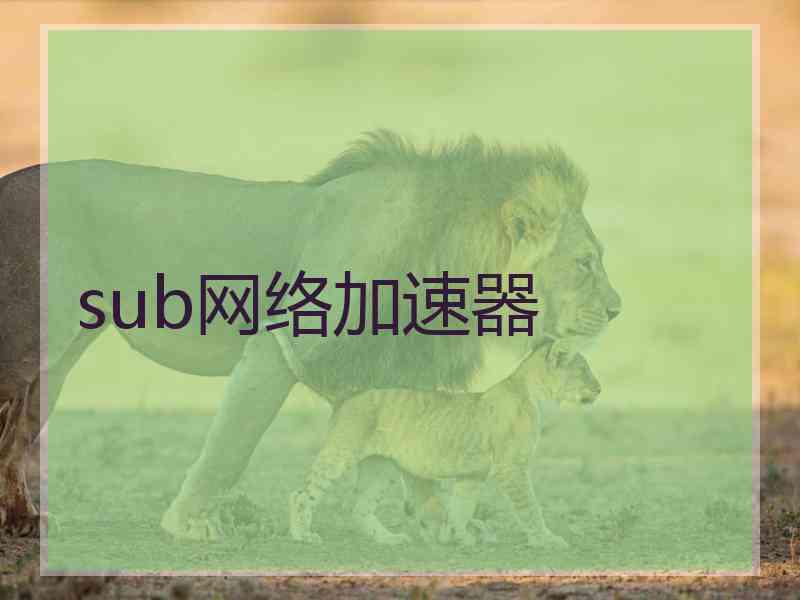 sub网络加速器