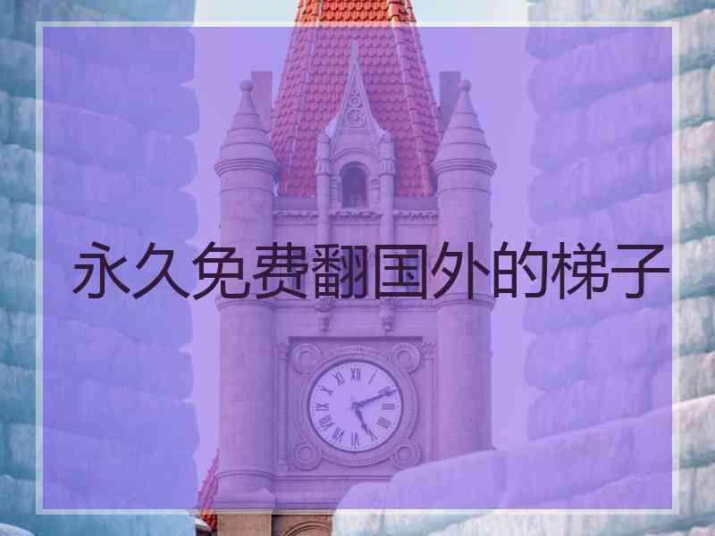 永久免费翻国外的梯子