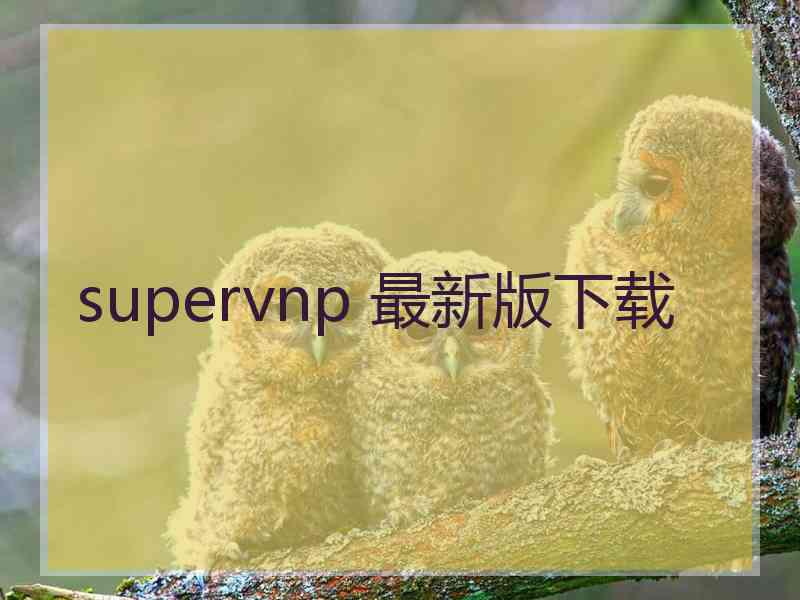 supervnp 最新版下载