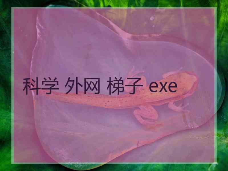 科学 外网 梯子 exe