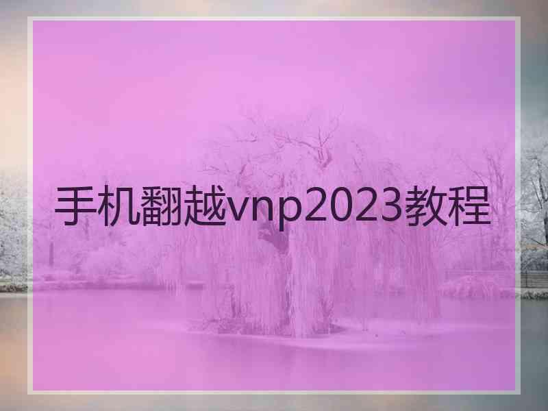 手机翻越vnp2023教程