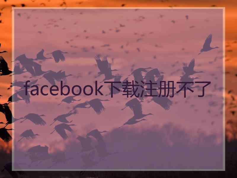 facebook下载注册不了